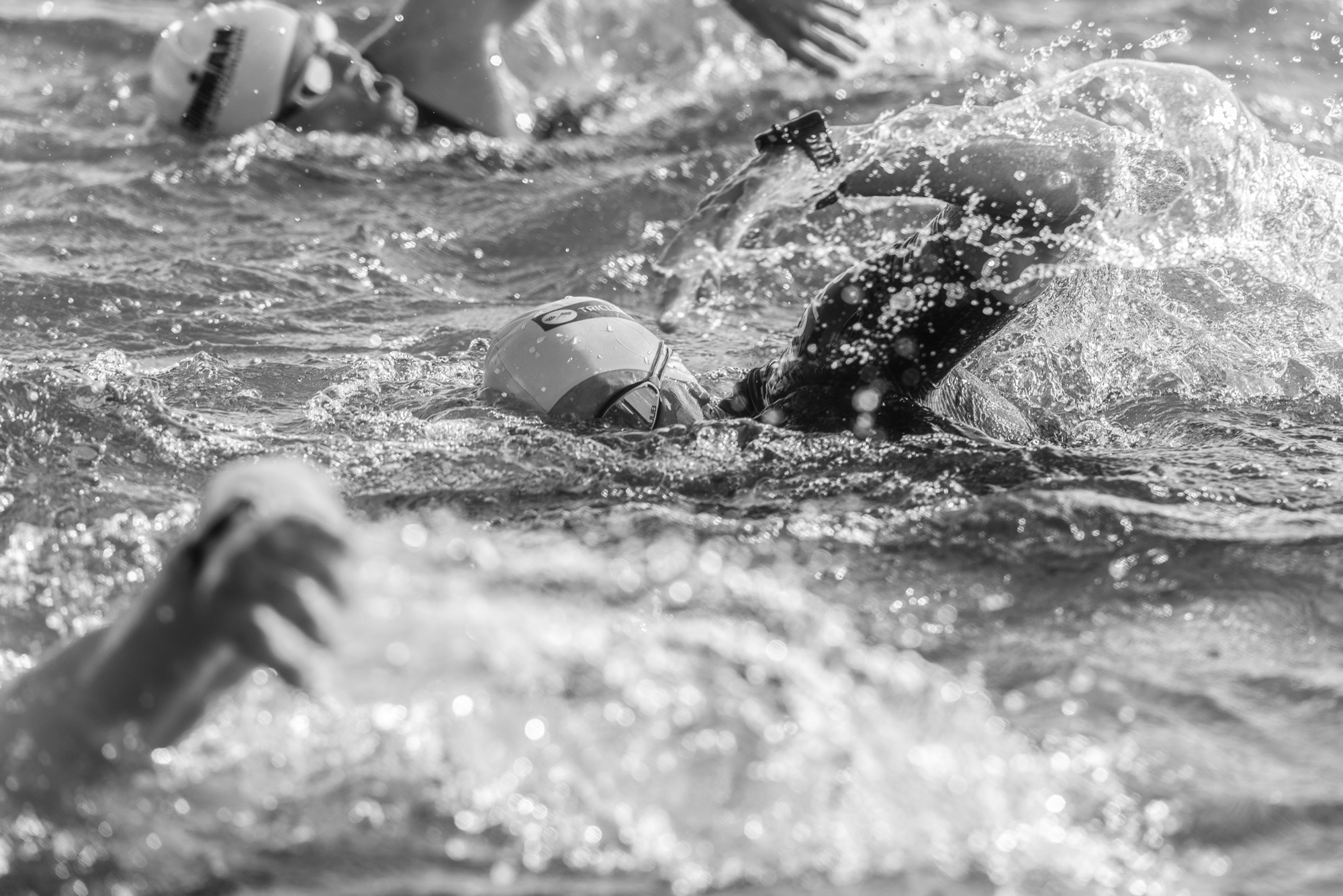 Swimmers training